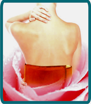 /images/back.png